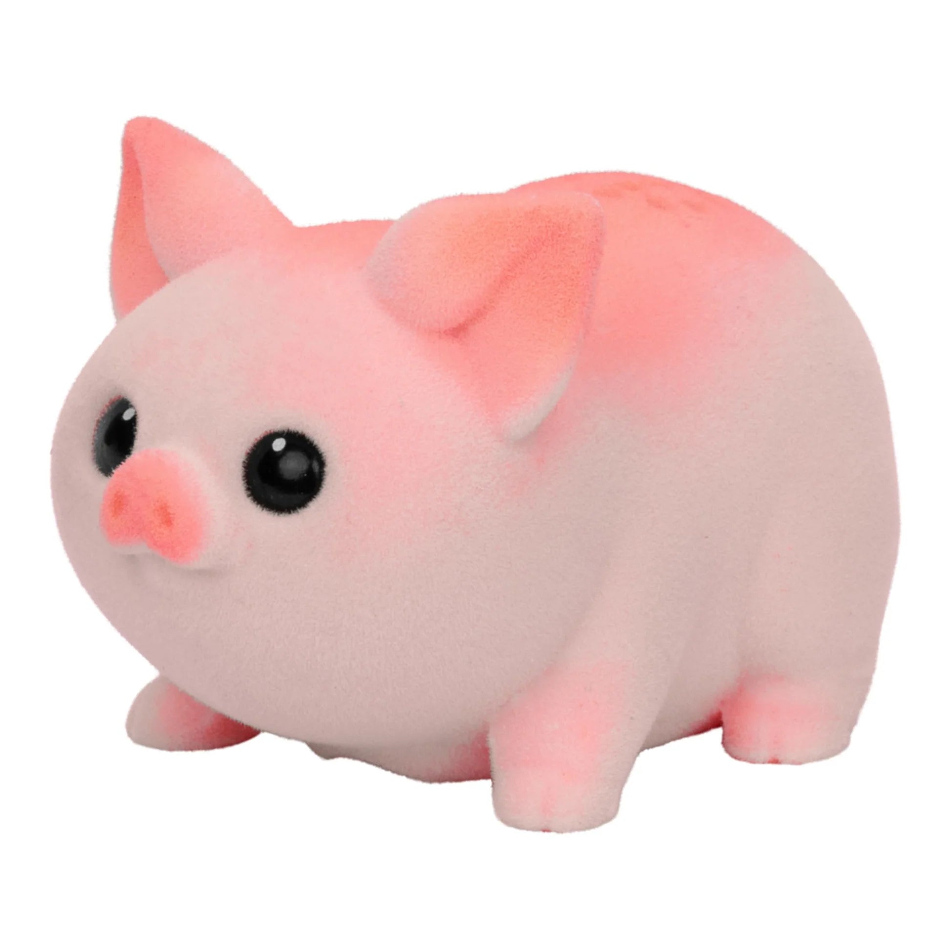 Little Live Pets Lil' Needees Single Pack Assorted Styles