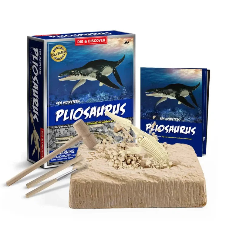 Piano Potato Dig Kits - Pliosaurus