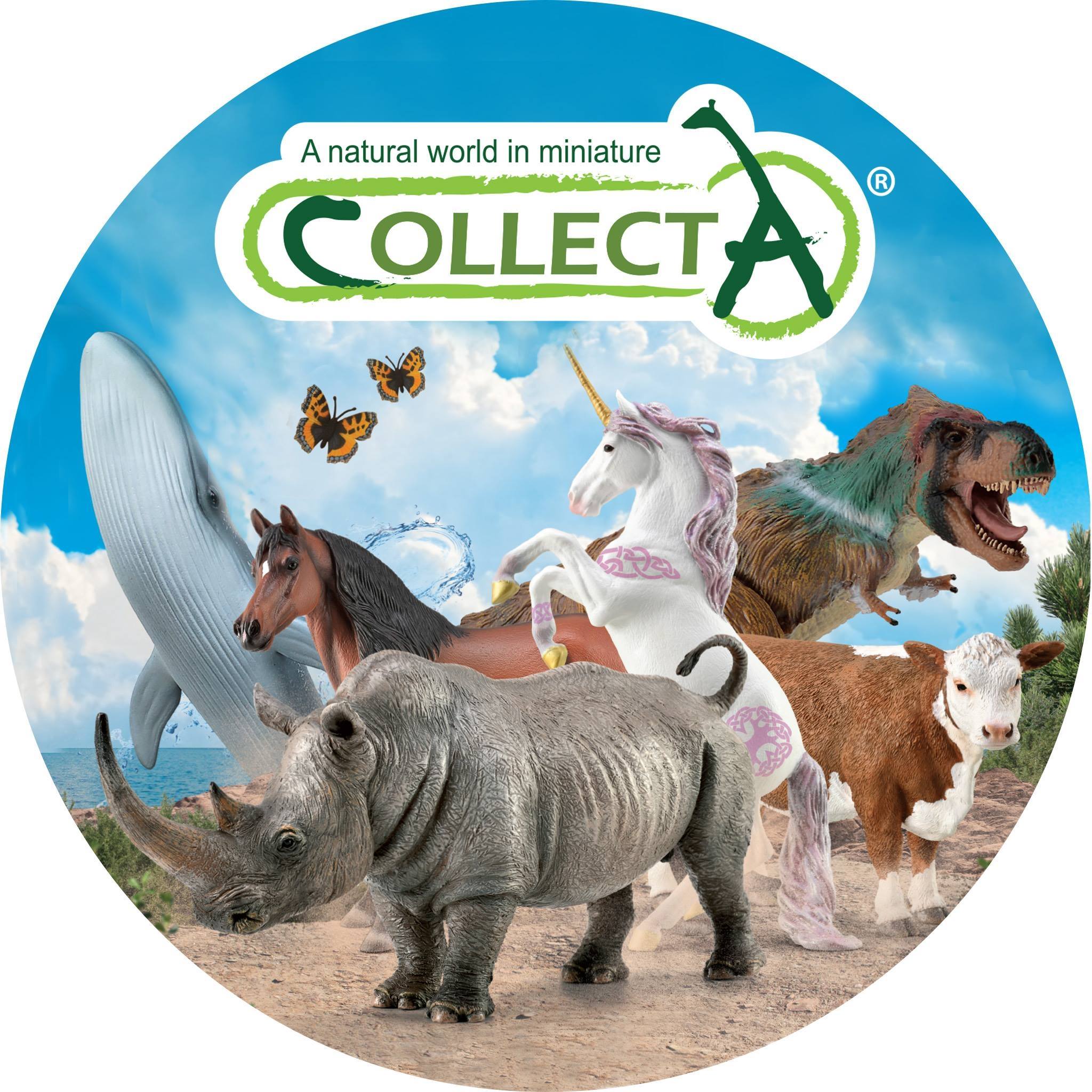 Collecta Store CollectA Figurines | Toytime NZ – Toy Time