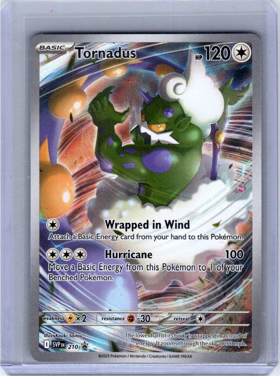 Pokemon Single Tornadus - 210 Scarlet & Violet Promo Promo 210
