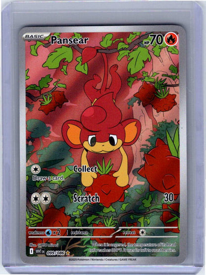 Pokemon Single Pansear White Flare Illustration Rare 099/086 (1)