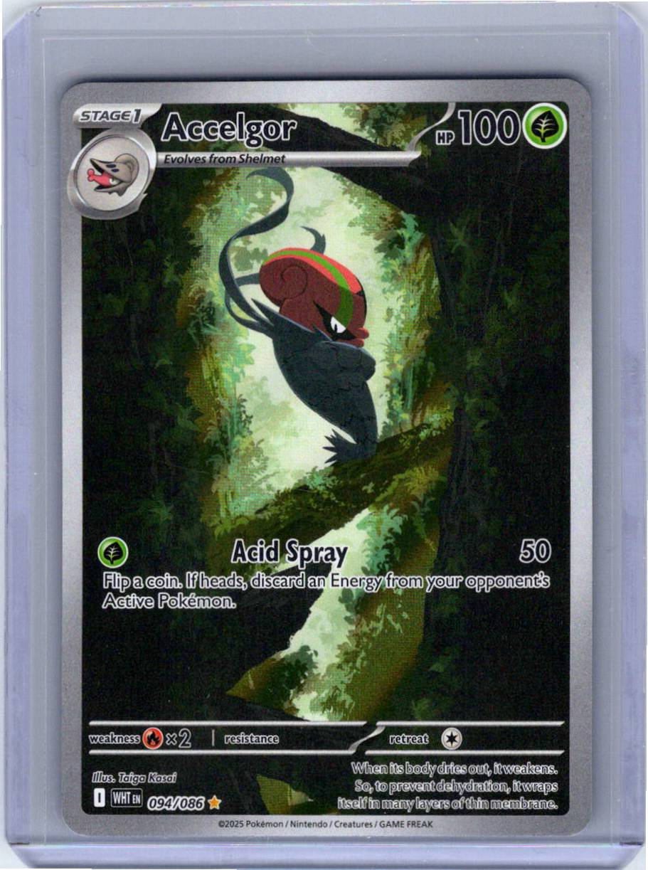 Pokemon Single Accelgor White Flare Illustration Rare 094/086