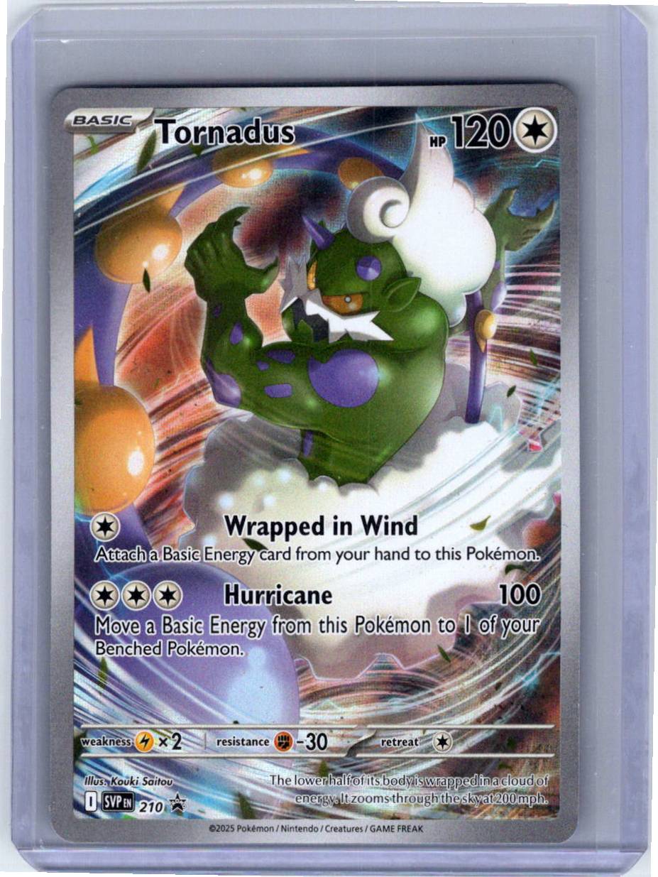 Pokemon Single Tornadus - 210 Scarlet & Violet Promo Promo 210