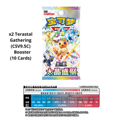 Pokemon TCG Simplified Chinese Eevee & Eeveelutions Display Pendant Box